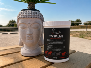 Oxy'Baume – Baume Respiratoire pour Chevaux
