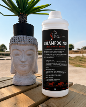 Shampoing aux Protéines d'Avoine – Entretien de la Robe