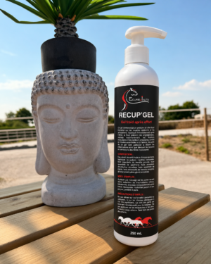 Recup'Gel – Effet Glaçon pour Récupération Musculaire