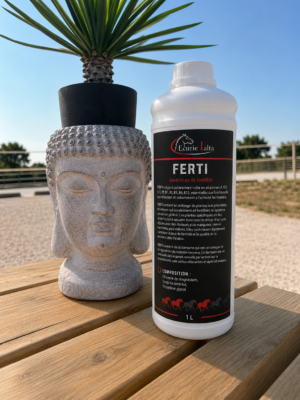 Ferti – Soutien à la Reproduction pour Chevaux et Juments