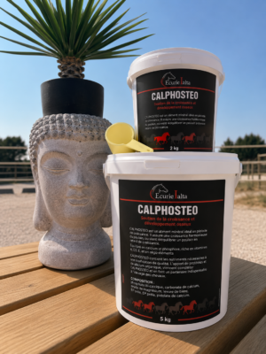 CALPHOSTEO – Complément Croissance Calcium/Phosphore pour Poulains