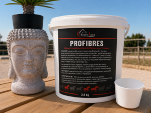 Profibres – Prévention des Ulcères Gastriques