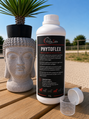 Phytoflex – Régénération Articulaire & Cartilages pour Chevaux