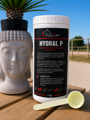 Hydral P – Réhydratation & Récupération pour Chevaux