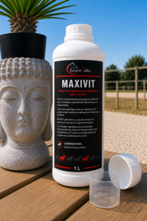 Maxivit – Récupération Nutritionnelle & Convalescence pour Chevaux