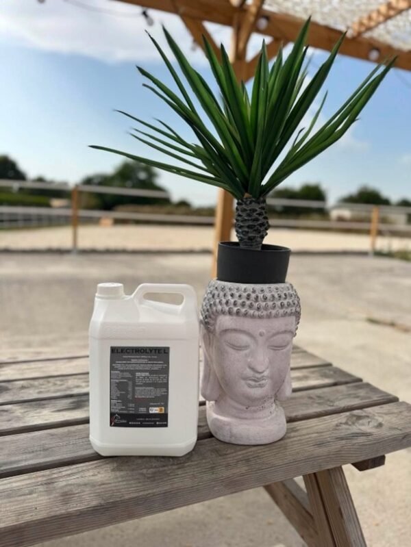 Image11 Électrolytes L – Récupération & Réhydratation pour Chevaux
