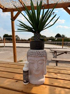 Gel Froid – Effet Frais Apaisant pour Chevaux