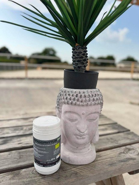 Harpagophytum Bio – Confort Articulaire Naturel pour Chevaux
