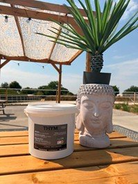 Thym – Confort Respiratoire Naturel pour Chevaux