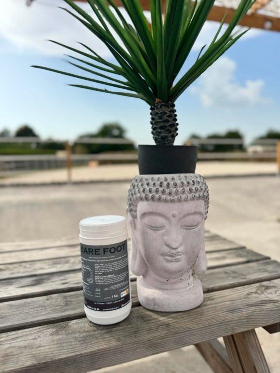 BARE FOOT – Complément Biotine pour Sabots, Peau & Corne