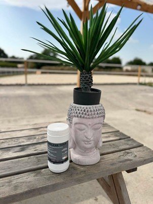 Complexe Toux – Mélange de Plantes Décongestionnant & Expectorant