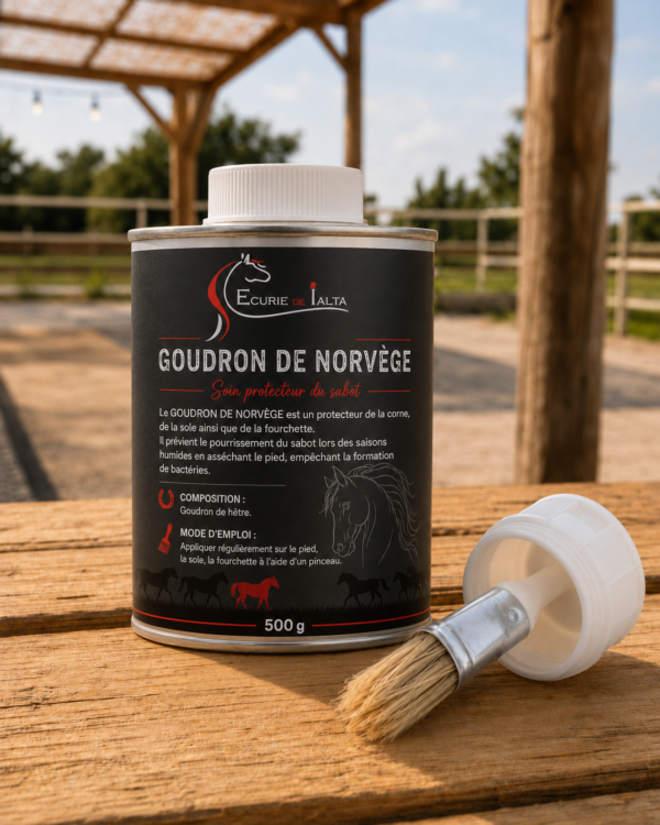 Goudron de Norvège – Protecteur de Corne pour Chevaux