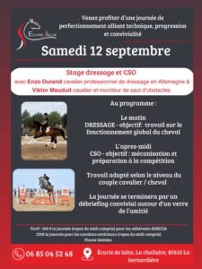 Stage de dressage et de cso